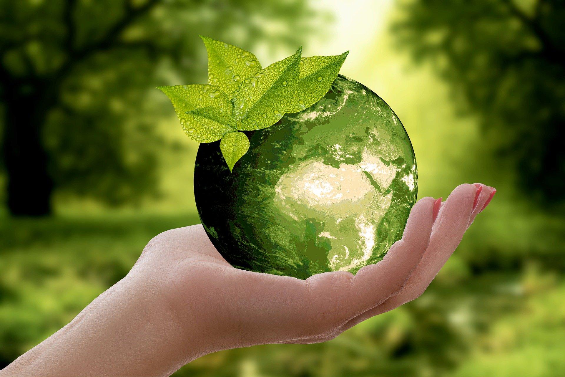 World Engineering Day for Sustainable Development