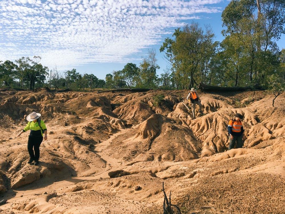 Fossils are found eroding out of the ancient flood plains of South Walker Creek. Rochelle Lawrence, Queensland Museum.