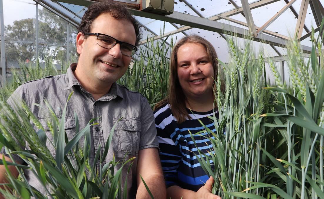 The University of Adelaide's Associate Professor Stuart Roy and SARDI's Dr Rhiannon Schilling are looking for opportunities to better understand soil and crop variability in sodic and saline soils. Image: Katherine Hollaway, GRDC