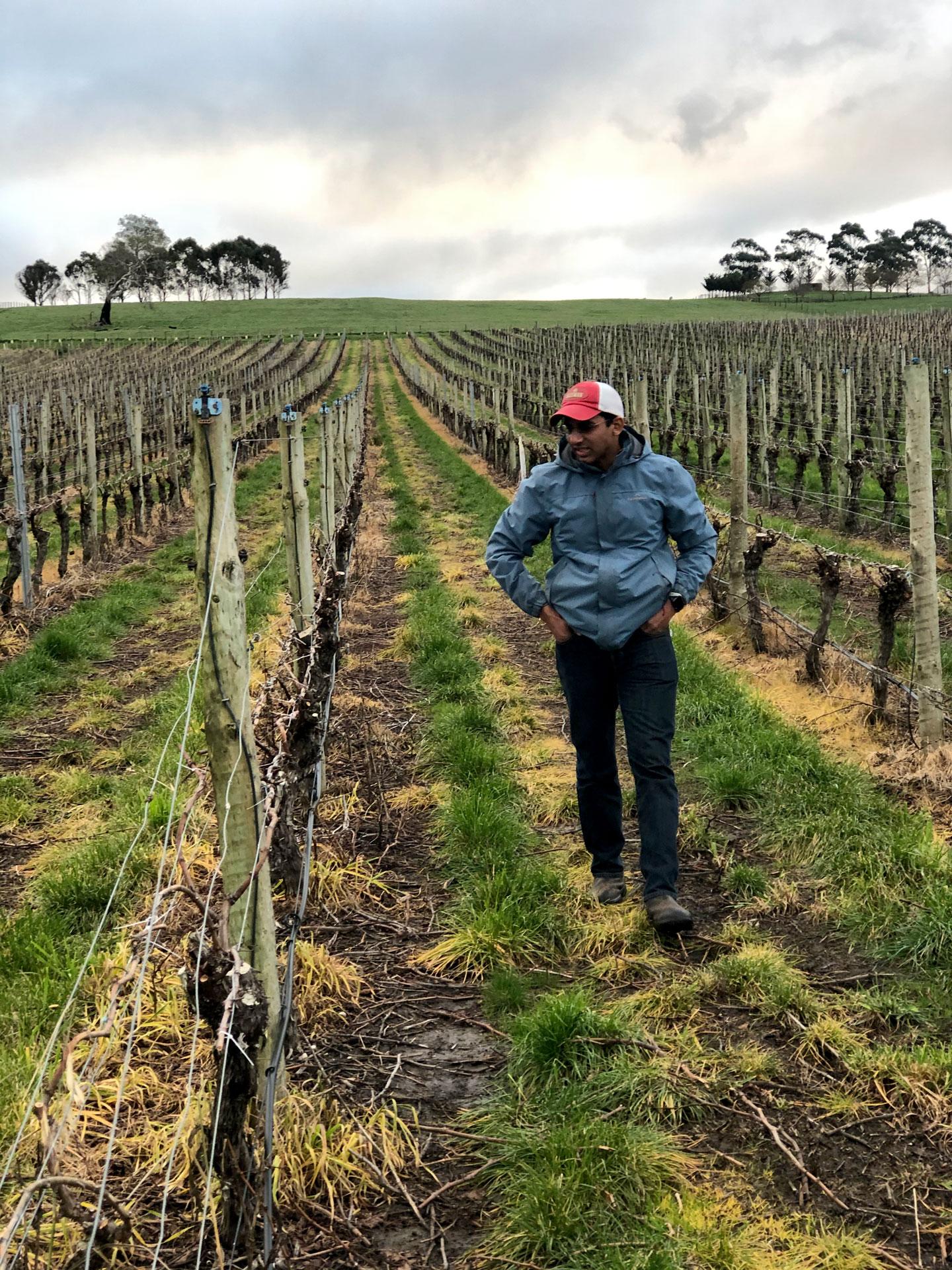 Dr Vinay Pagay, lecturer in viticulture and vineyard engineering from the School of Agriculture, Food and Wine at the University’s Waite campus