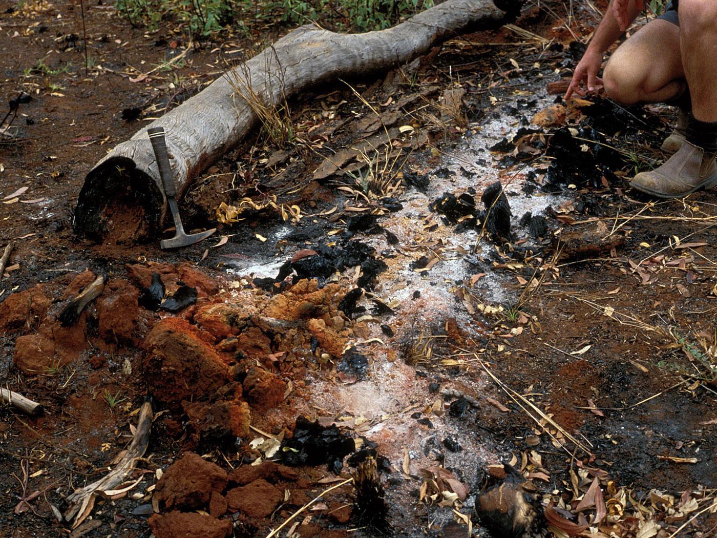 Charcoal, ash and red soil left after a bushfire. Image by Rob Fitzpatrick