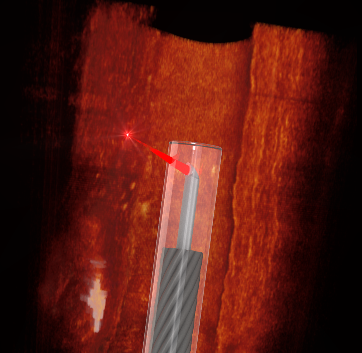 Ultrathin 3D printed endoscope imaging an artery - photo by Simon Thiele and Jiawen Li.
