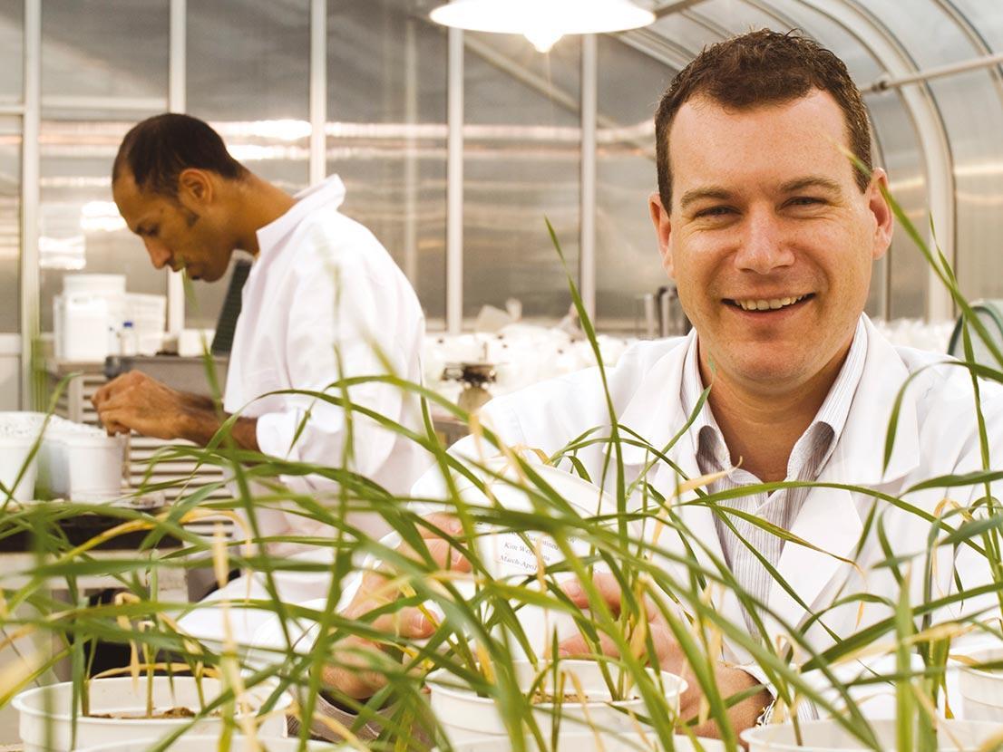 UAiPhD: scientists in a lab with agricultural research