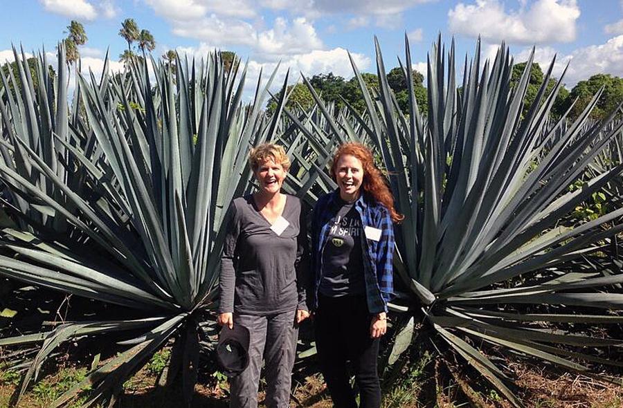 Associate Professor Rachel Burton and PhD Student Kendall Corbin visiting the Agave plantation in Queensland