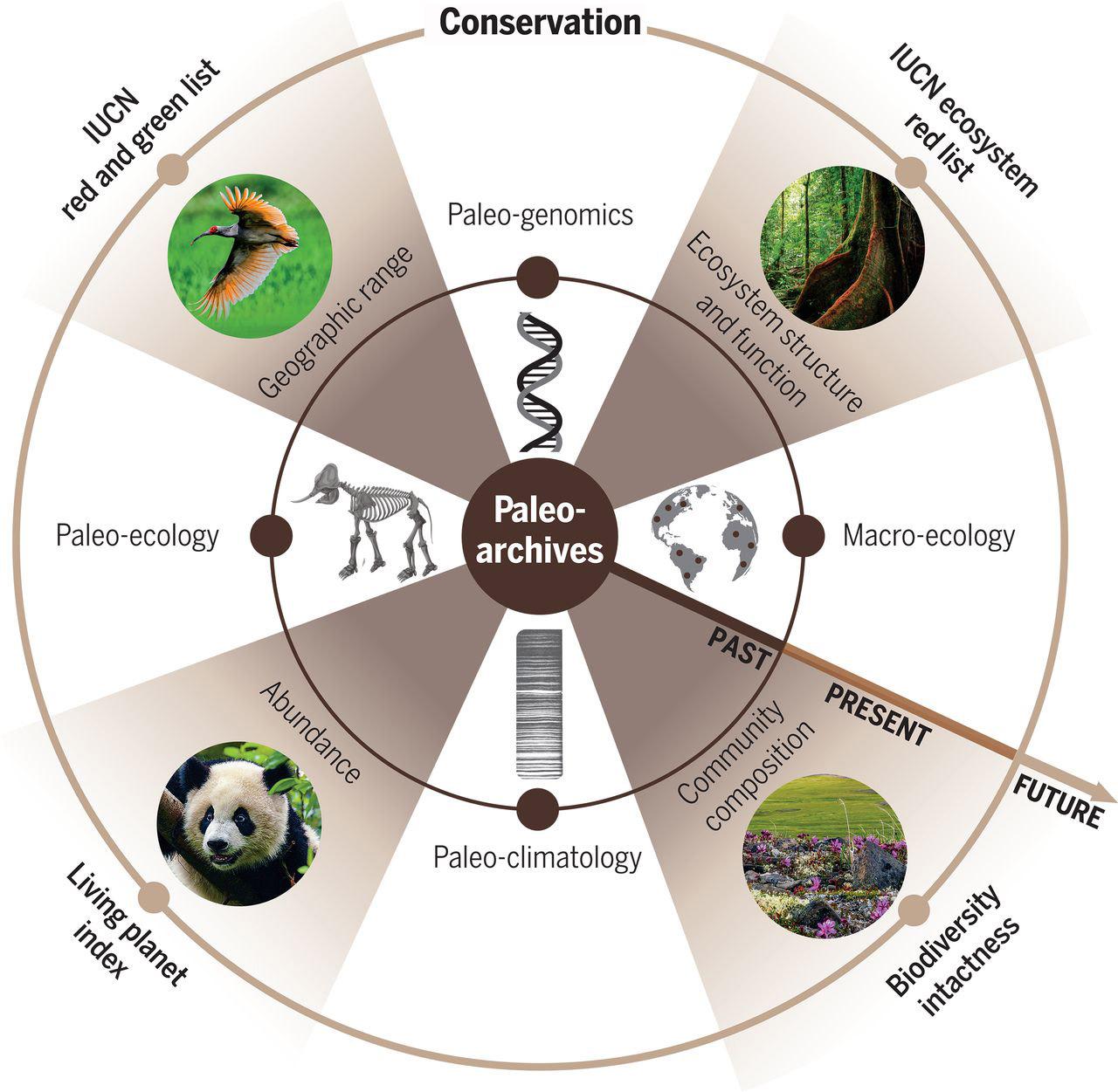 Paleo-archives offer new prospects for benchmarking and maintaining future biodiversity.