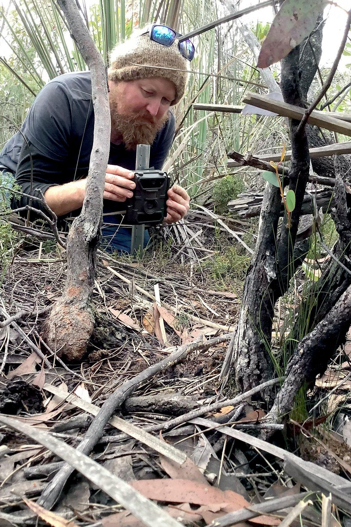 Pat Hodgens of Kangaroo Island Land for Wildlife sets a camera trap to monitor the recovery of the endangered Kangaroo Island dunnart (credit: Kangaroo Island Land for Wildlife)