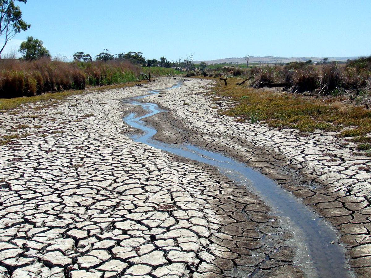 Dried and cracked soils in the Lower Lakes region of South Australia during the Millennium Drought. Credit: Luke Mosley