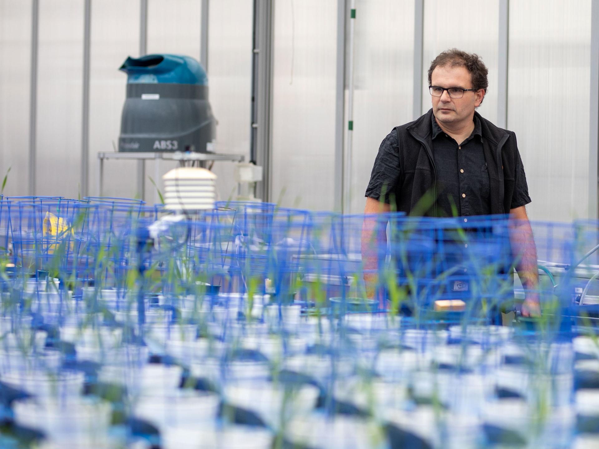 Stuart Roy in the Plant Accelerator