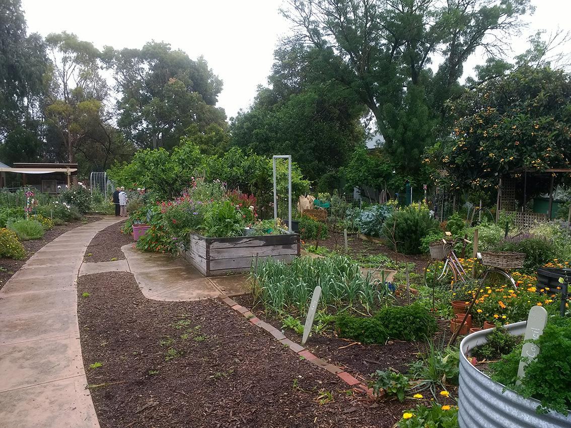 Fern Ave Community Garden, Fullarton