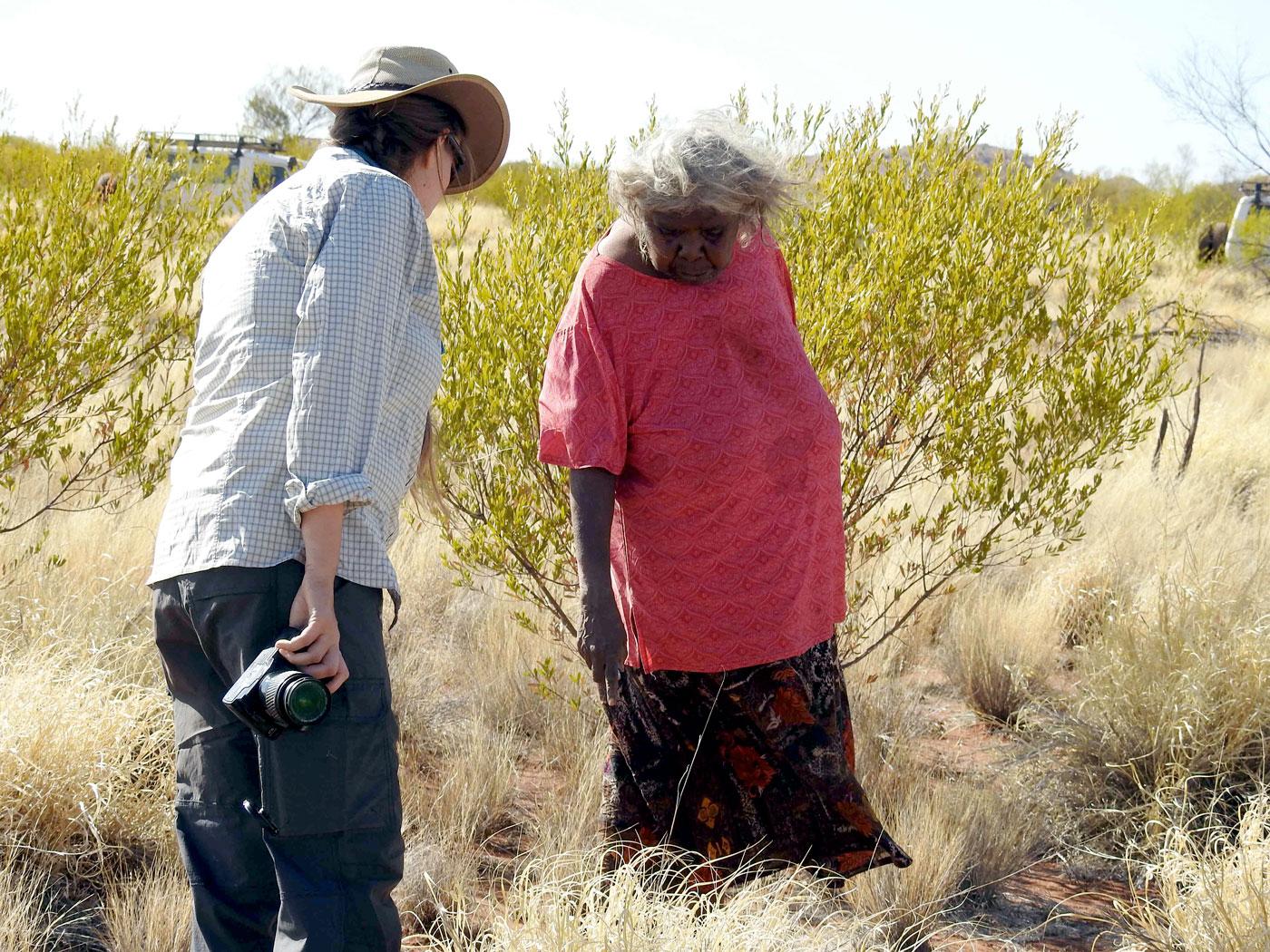 Nyanyu Watson showing how it’s harder to see animal tracks in areas occupied by buffel grass. Ellen Ryan-Colton, Author provided