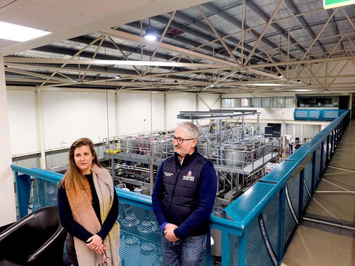 Associate Professor and Head Winemaker Paul Grbin and Scholarly Teaching Fellow and Assistant Winemaker Jill Bauer.