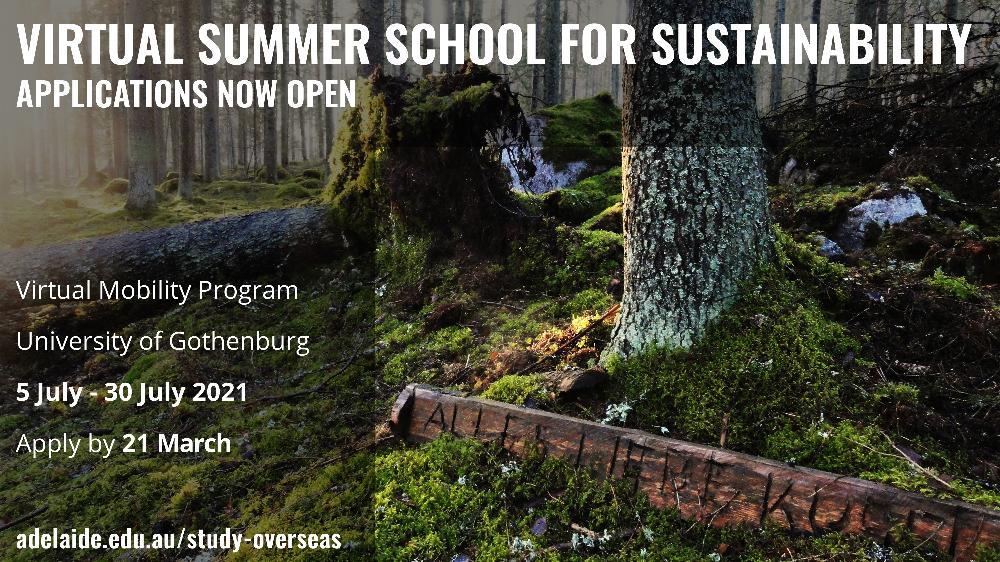 Virtual Summer School for Sustainability applications now open