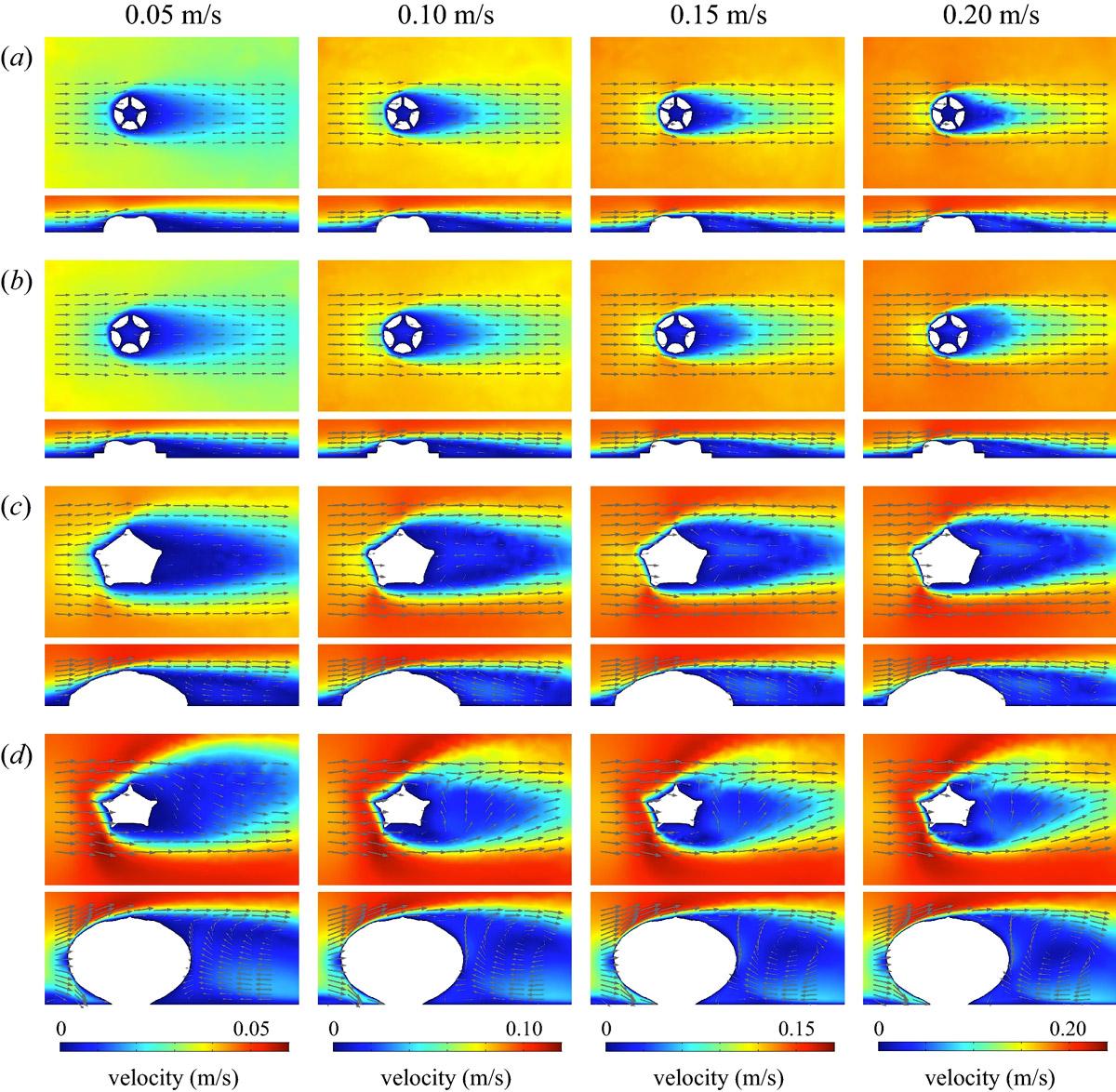 Computational fluid dynamics surface plots (horizontal and vertical cross-sections) at four different speeds over the small and large Arkarua models (top) and the 2 echinoderms (bottom). Arrows indicate direction of water flow and colours indicate speed.
