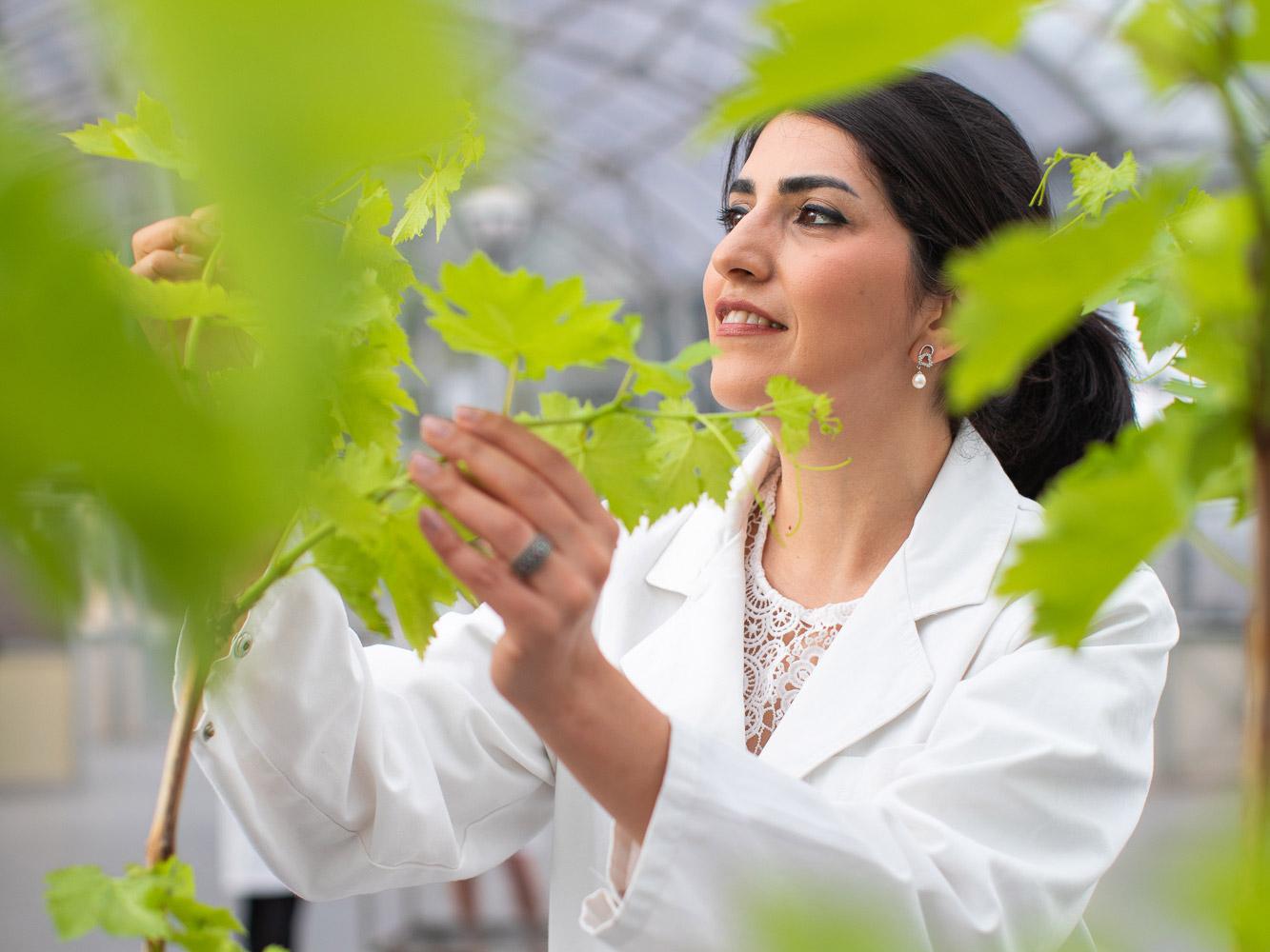 Plant scientist Waite campus