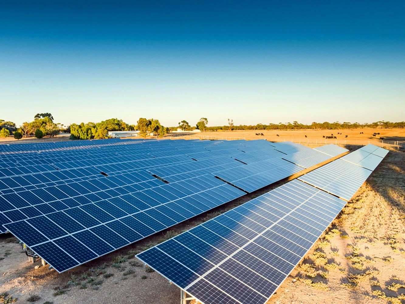 Solar Farm Roseworthy