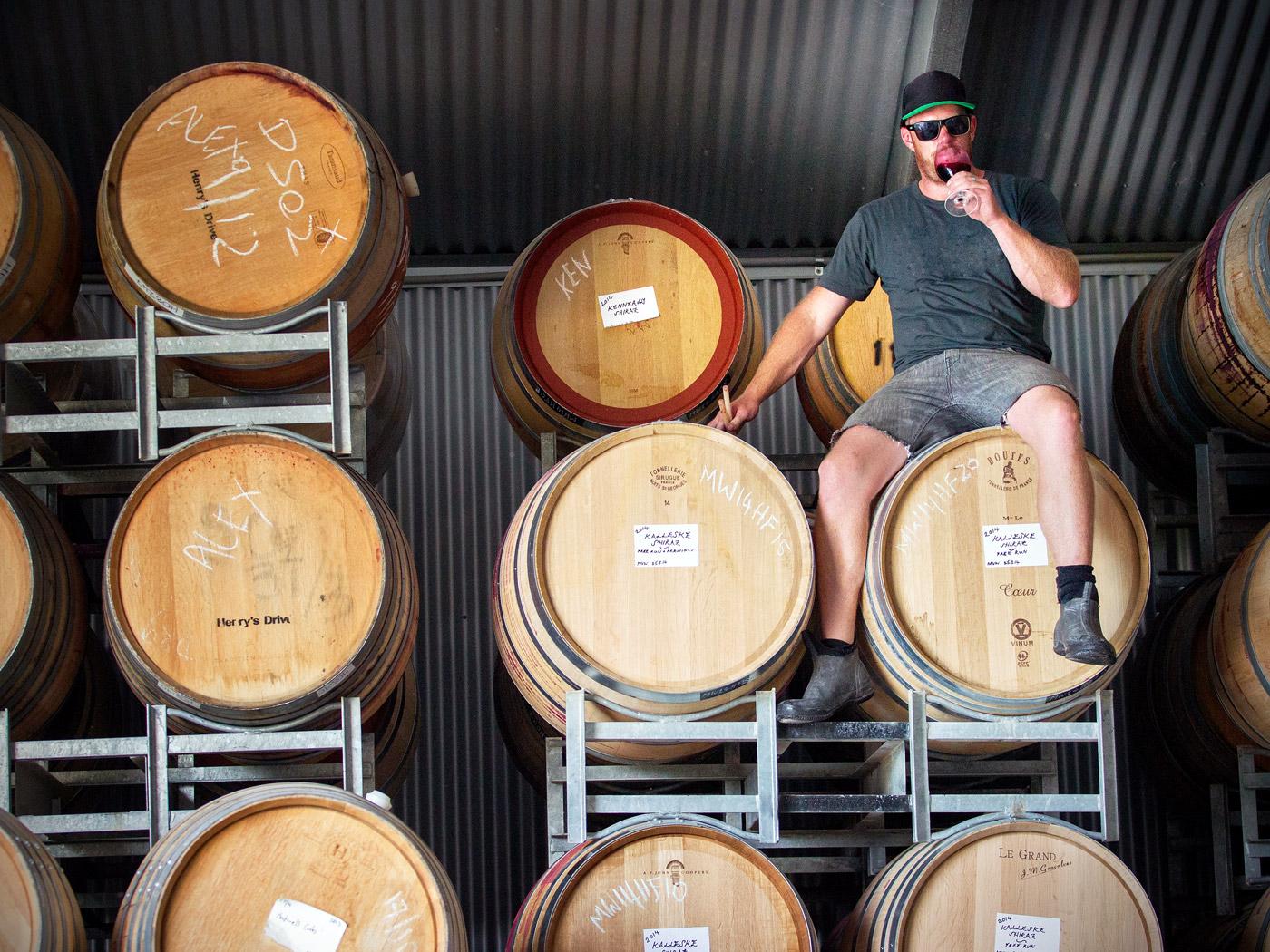 Young Gun of Wine Sam Dunlevy