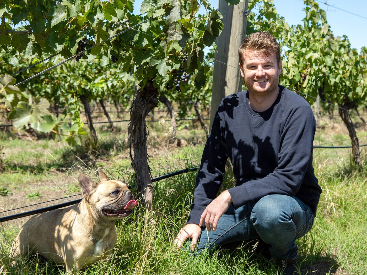 Young Gun of Wine - Ben Mullen