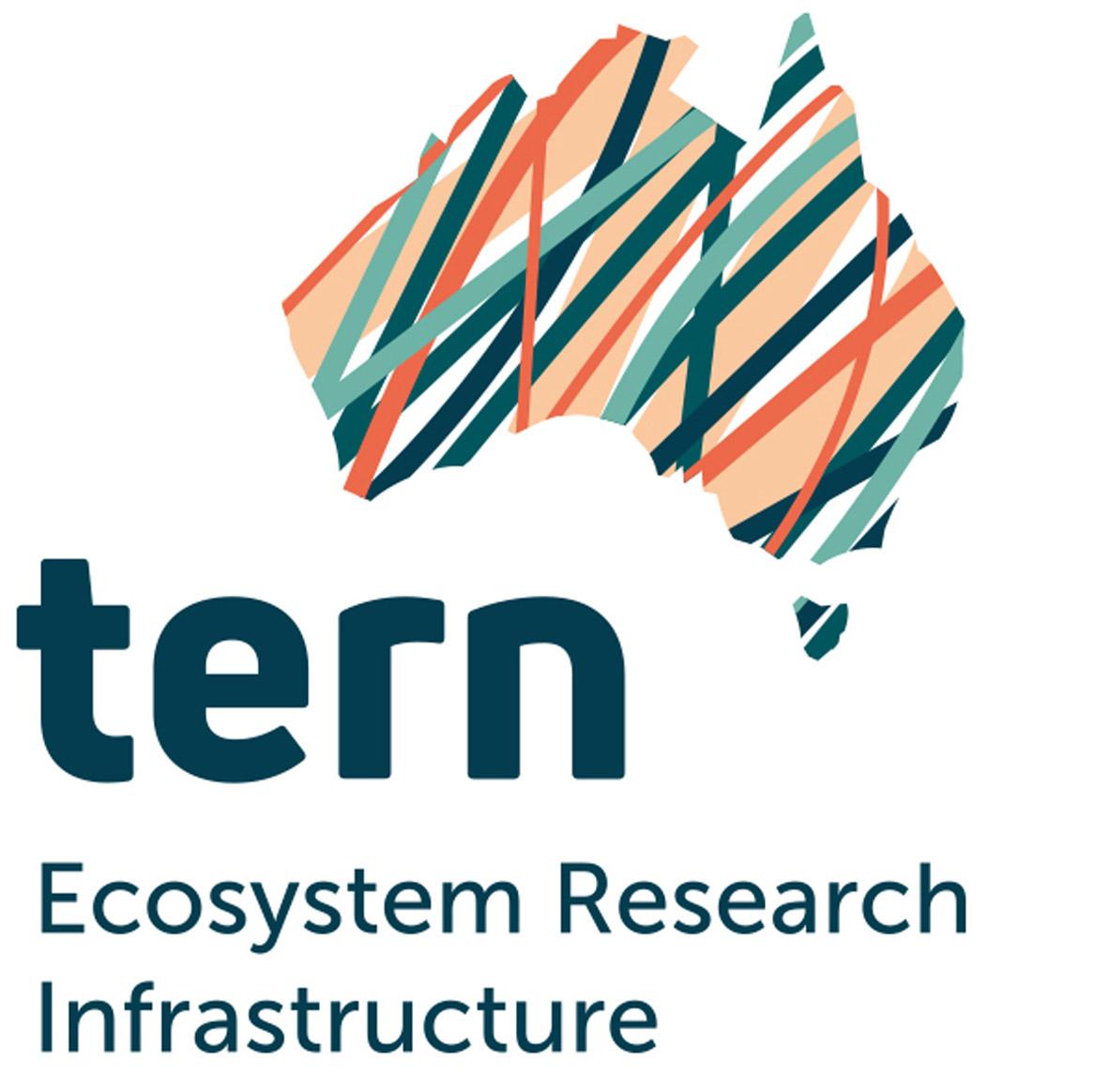 TERN logo