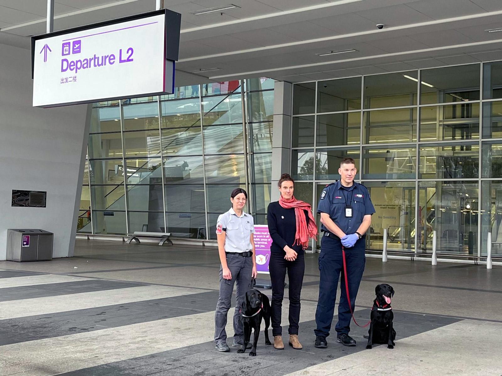 COVID dogs Adelaide Airport