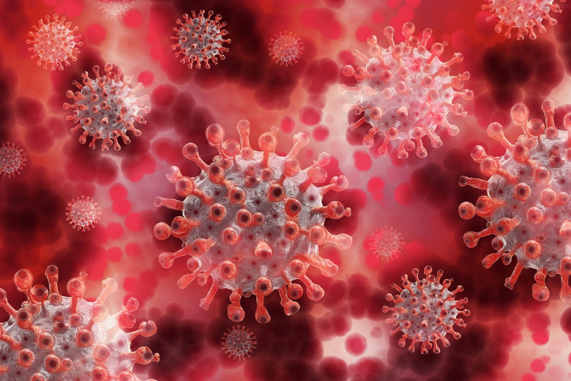 Coronavirus graphic. Image by Gerd Altmann, from Pixabay.