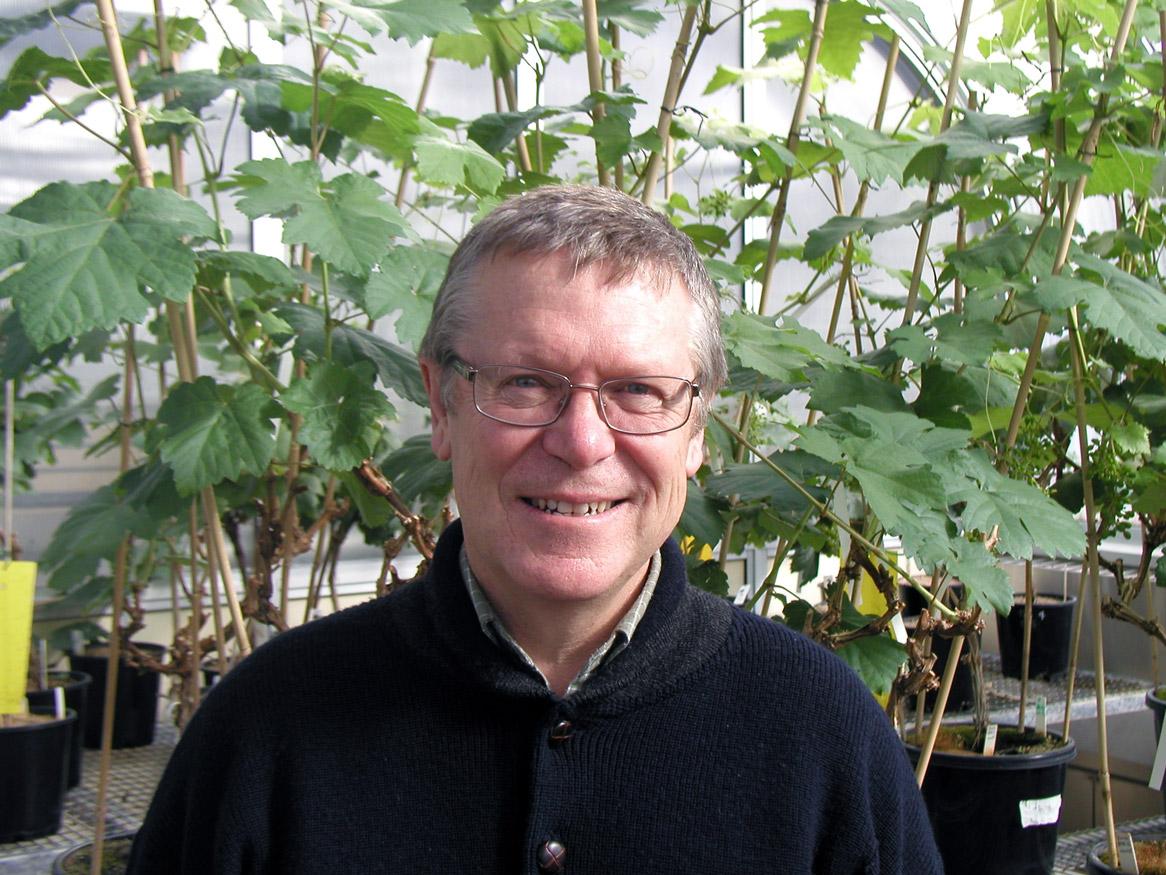 Researcher photo Steve Tyerman