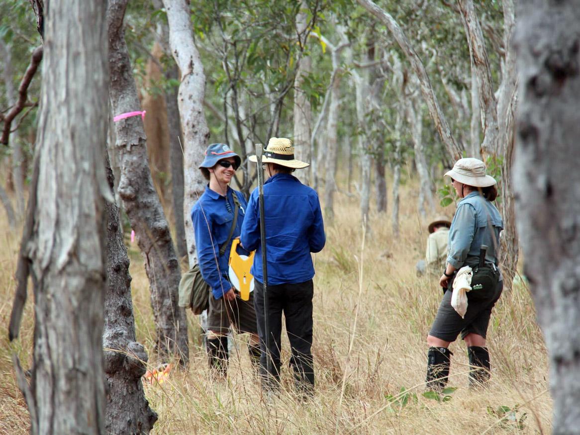 TERN fieldwork