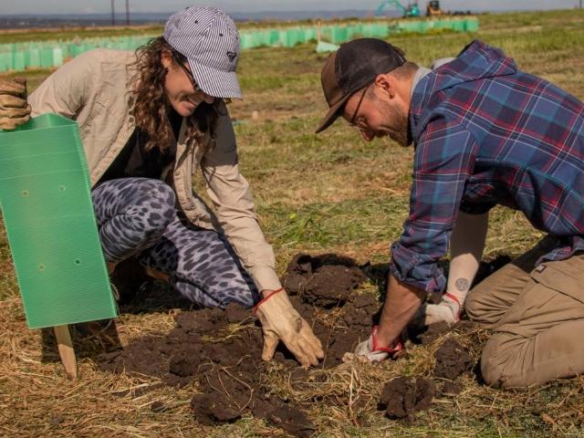 Department of Environment and Water volunteers