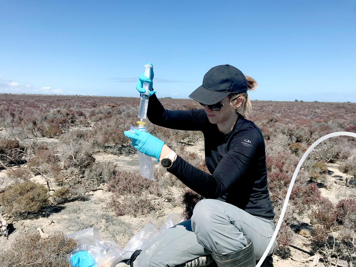 Soil sulfur isotopes Emily Leyden