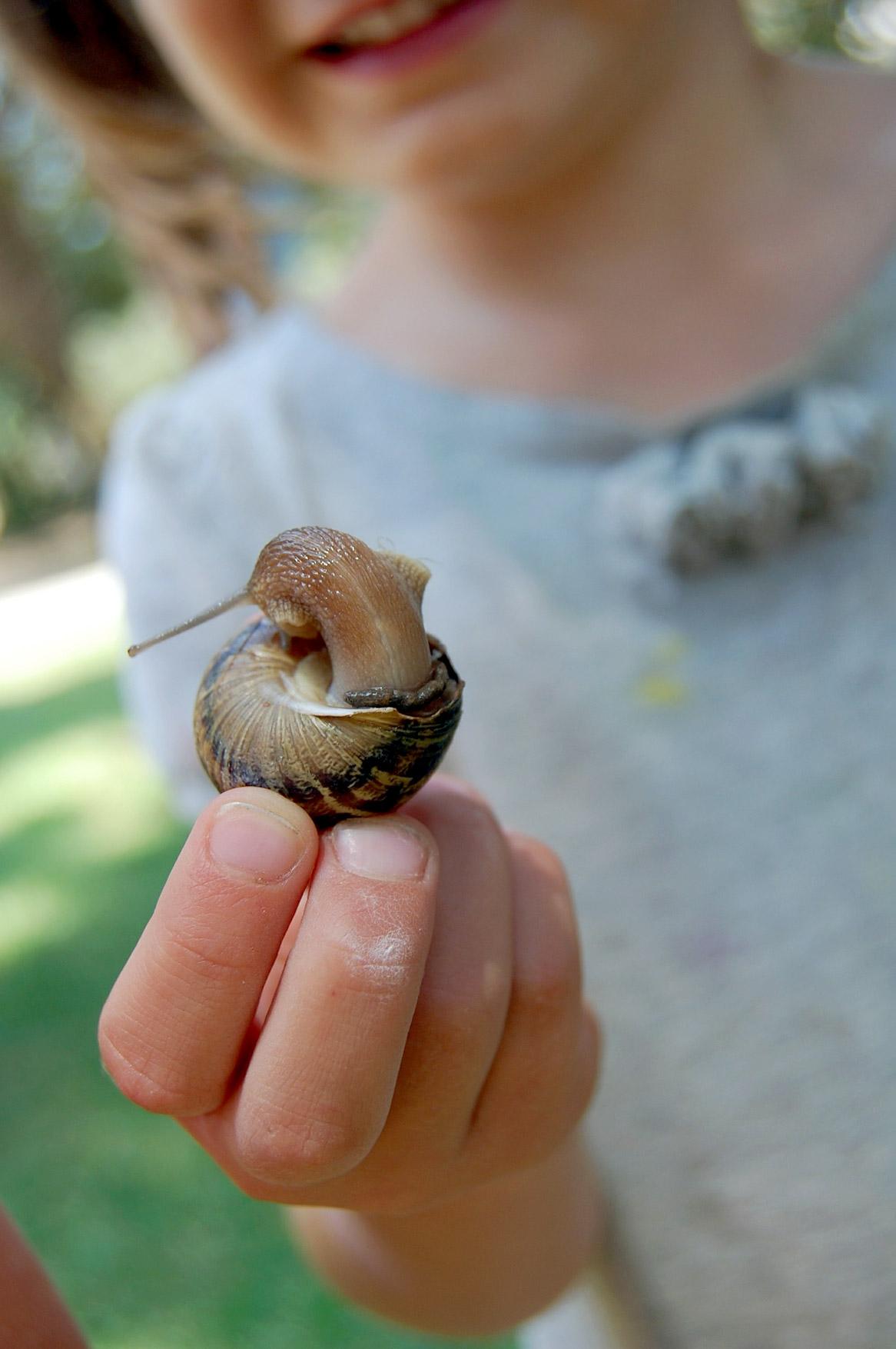 Child holding a snail. Image by Anita S. from Pixabay 
