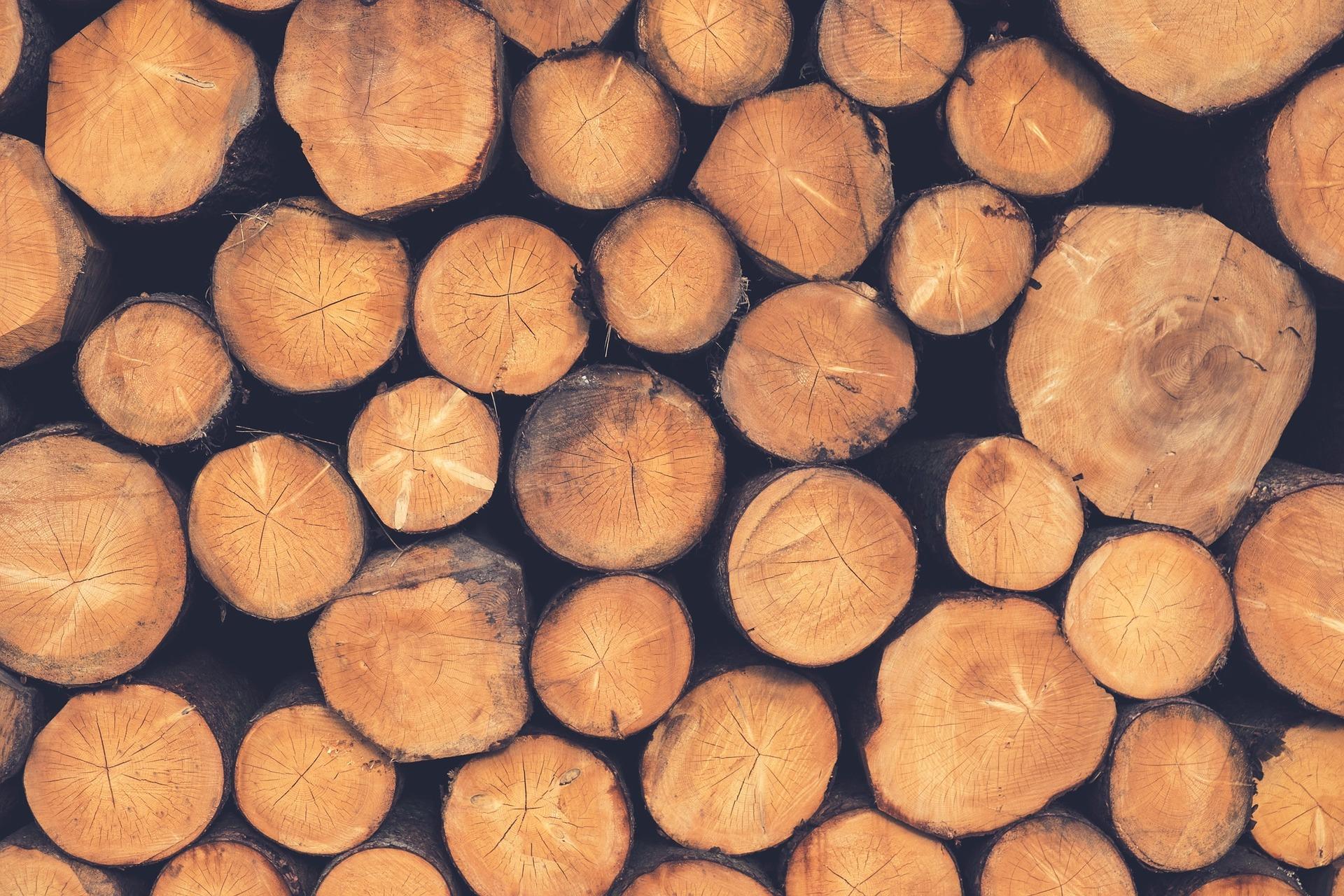 Timber logs