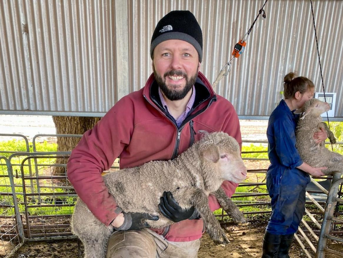 Professor Mark Hutchinson with a sheep