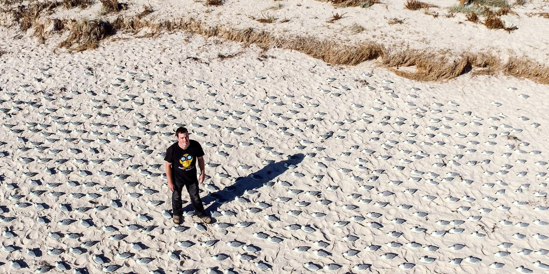 Find a researcher image: Duck drone