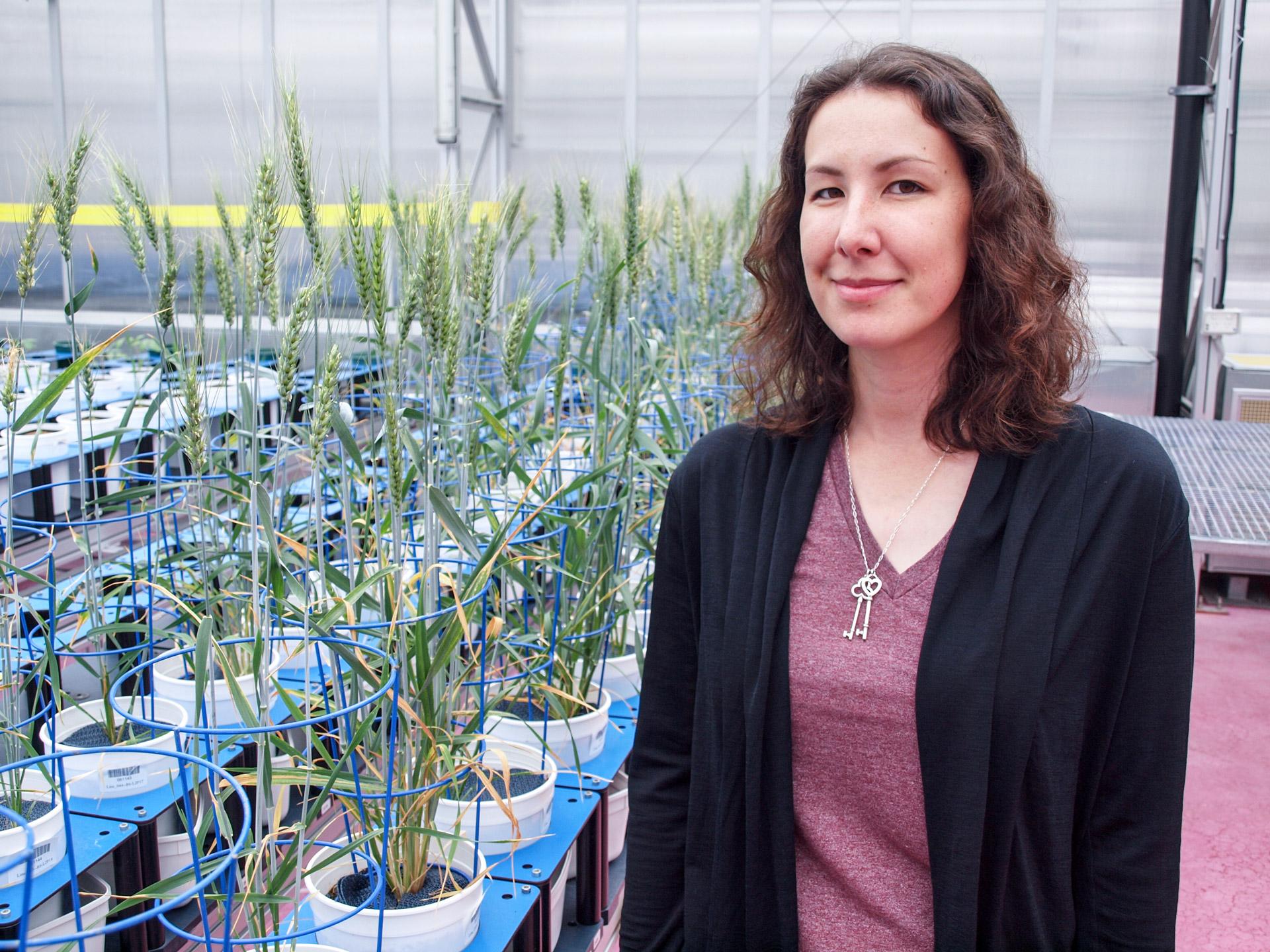 Dr Stephanie Watts-Williams, Ramsay Fellow