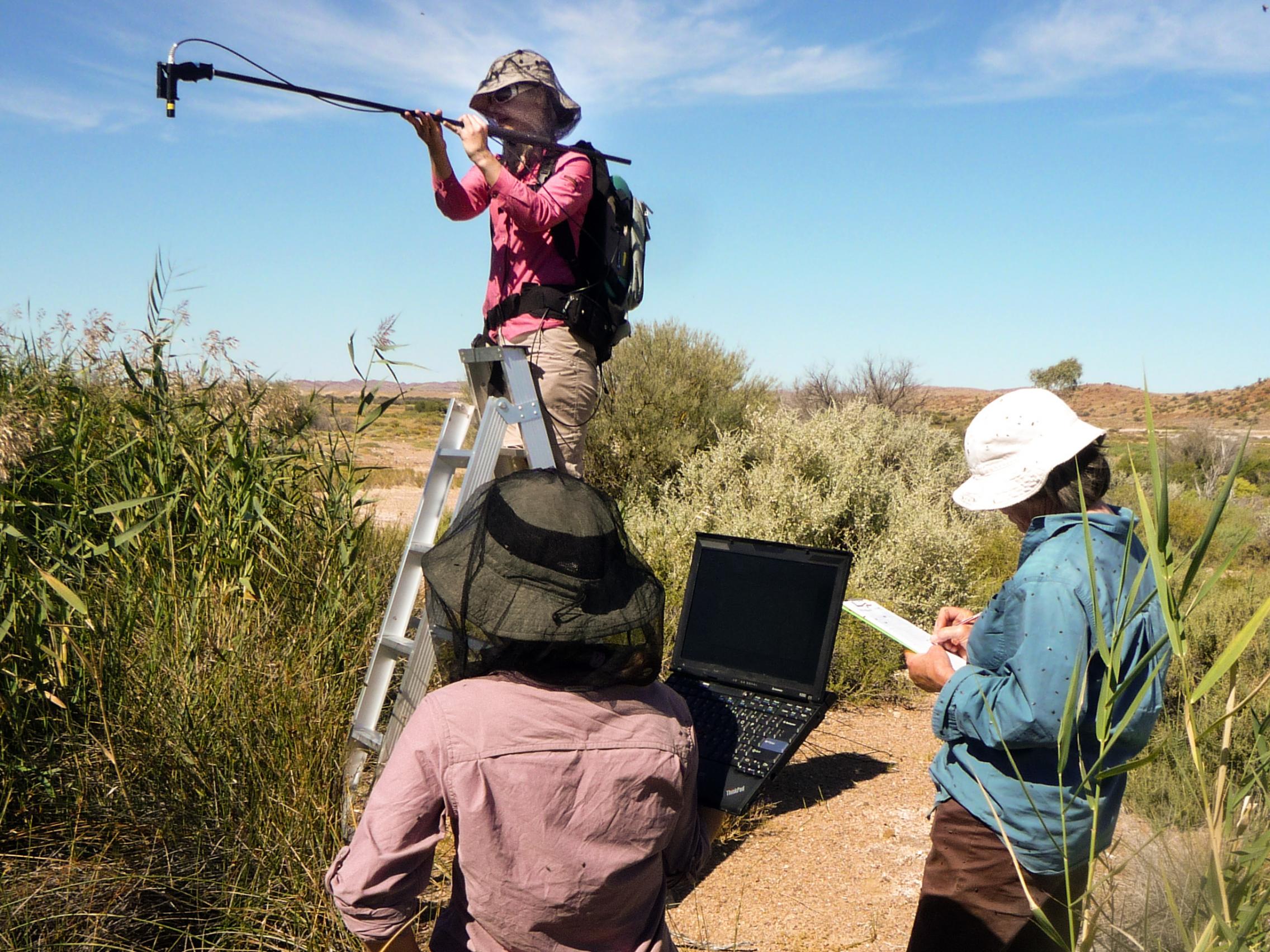 School of Biological Sciences research image