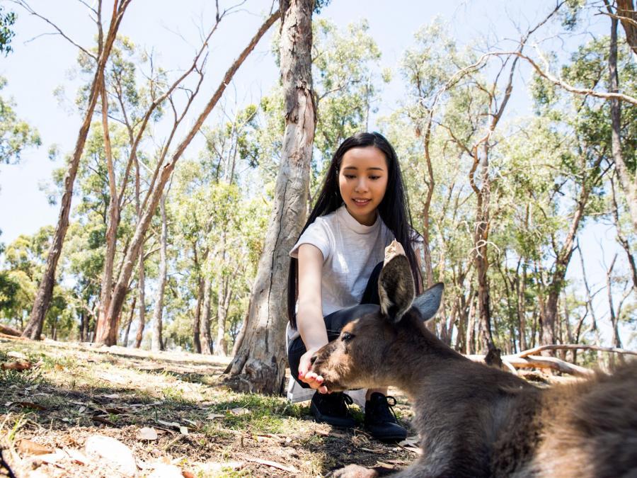 Wildlife conservation biology