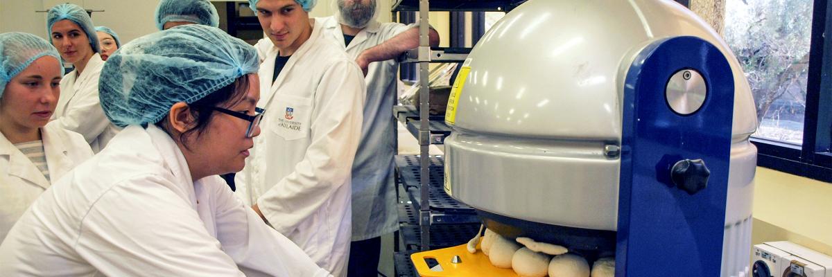 Bachelor of Food and Nutrition Science students baking