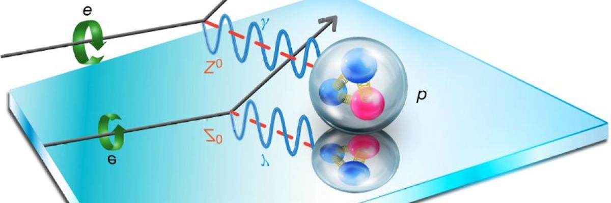 Physicists charge ahead with proton discovery - Parity-violating electron scattering from the proton