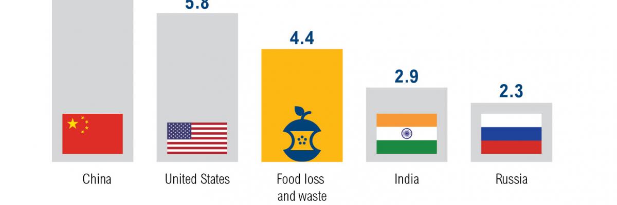 Food wastage footprint chart