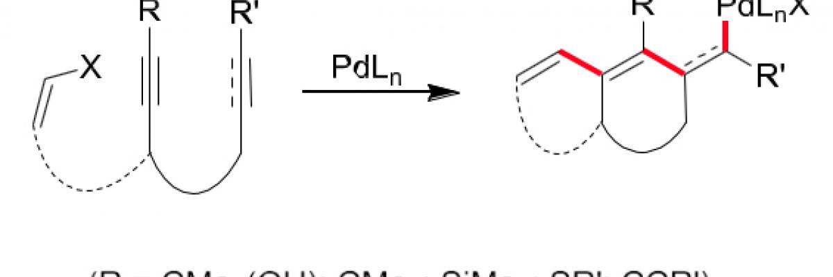 Professor Daniel Werz scheme 1