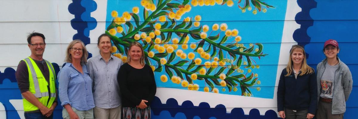 Tumby Bay street art