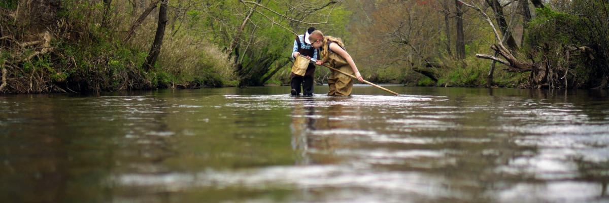 Hunting for aquatic micro invertebrates