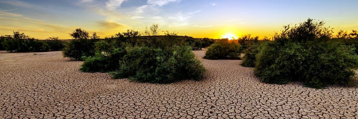 Climate change - drought image