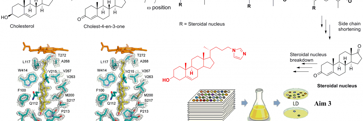 Deciphering & exploiting bacterial cholesterol metabolism to combat disease