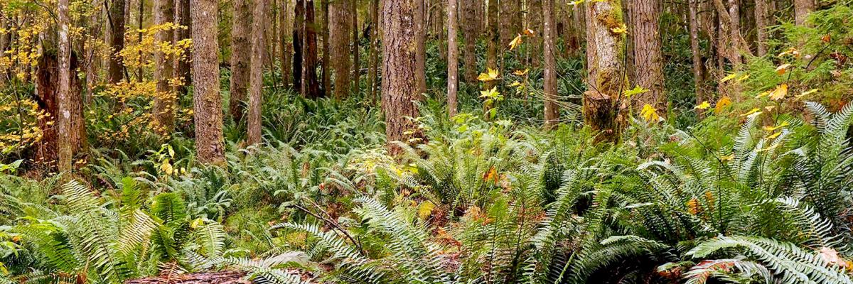News biodiversity