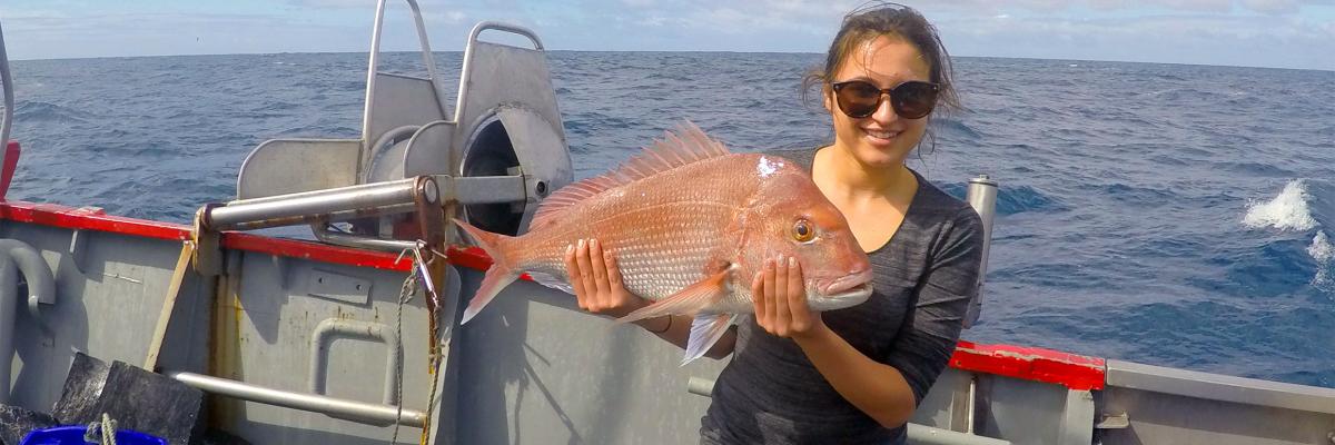 Fishery growth research by Jasmin Martino