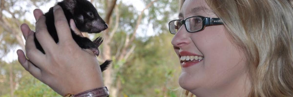 Prof Kathy Belov AO Tasmanian Devil