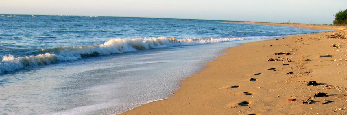 The first people to walk along the shores of northern Australia arrived more than 50,000 years ago. Corey Bradshaw, CC BY-NC