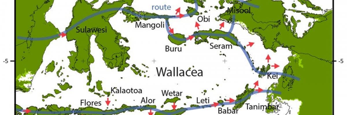 Modelled routes for making landfall in Sahul. Sea levels are shown at -75 m and -85 m. Potential northern and southern routes indicated by blue lines. Red arrows indicate the directions of modelled crossings. Michael Bird