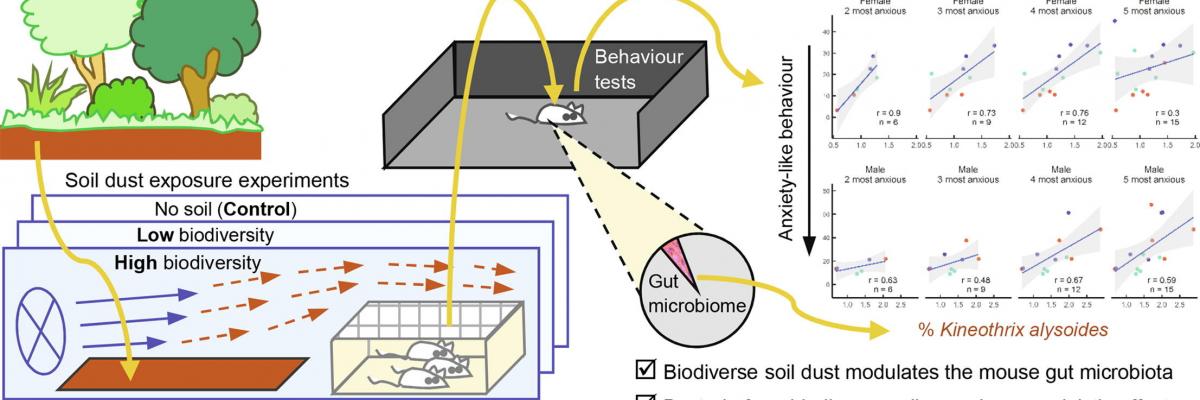 Naturally-diverse airborne environmental microbial exposures modulate the gut microbiome and may provide anxiolytic benefits in mice