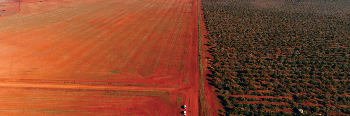 Carbon Neutral, a Perth-based carbon offset provider, has planted 30 million native trees and shrubs since 2008. Their ambition is to plant a 200km highway of trees across Western Australia’s Wheatbelt, as shown in this image taken using a carbon neutral drone by photographer Russell Ord.